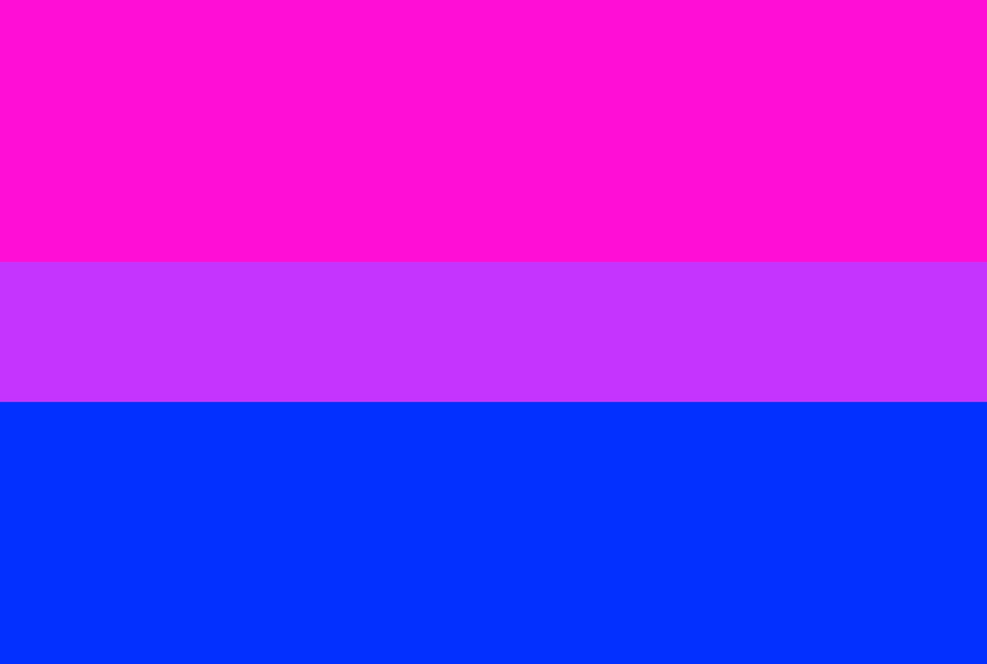 Bisexual Flag– Blue Flag Manufacturing