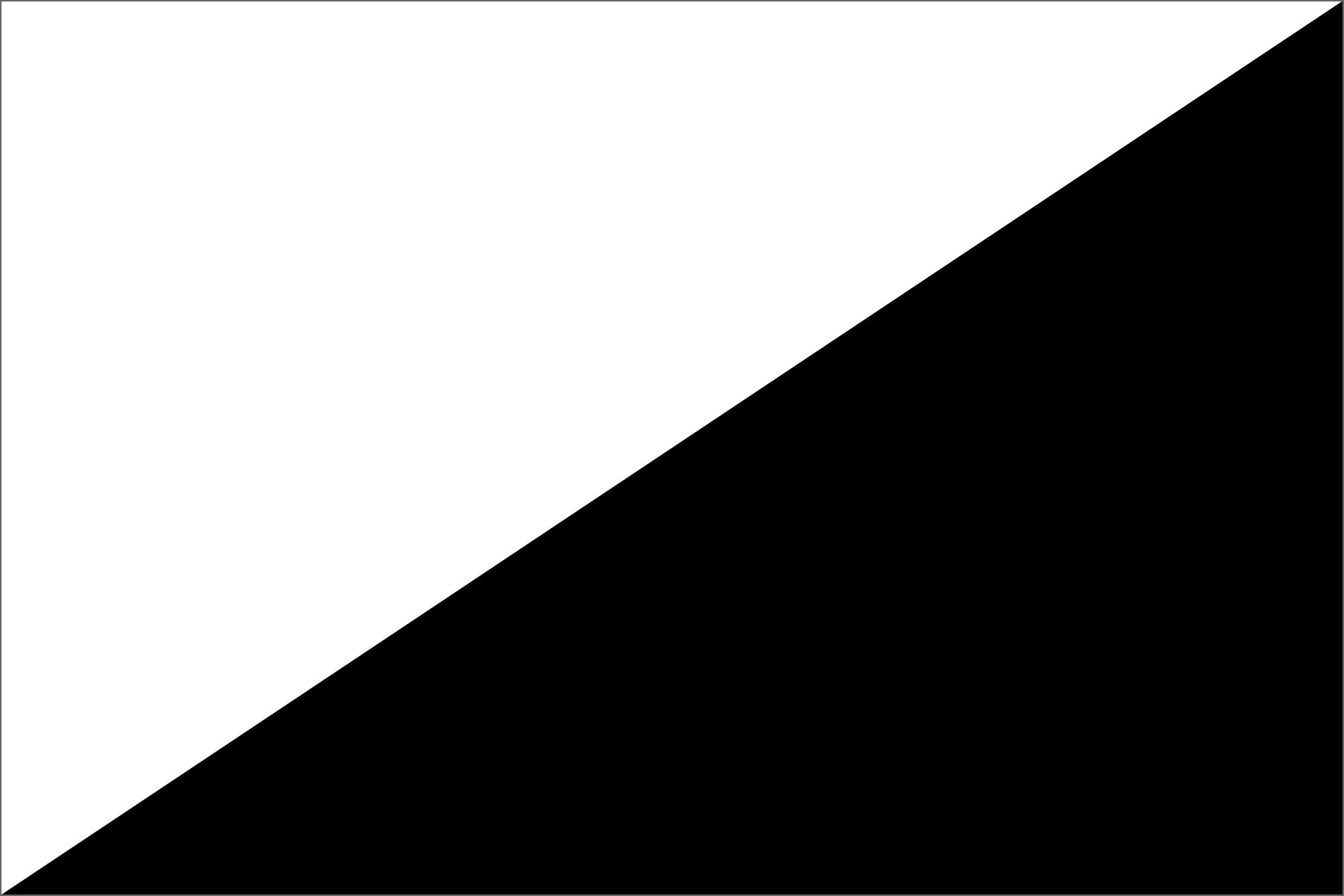 Black & White Diagonal Flag– Blue Flag Manufacturing