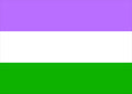 Gender Queer Flag