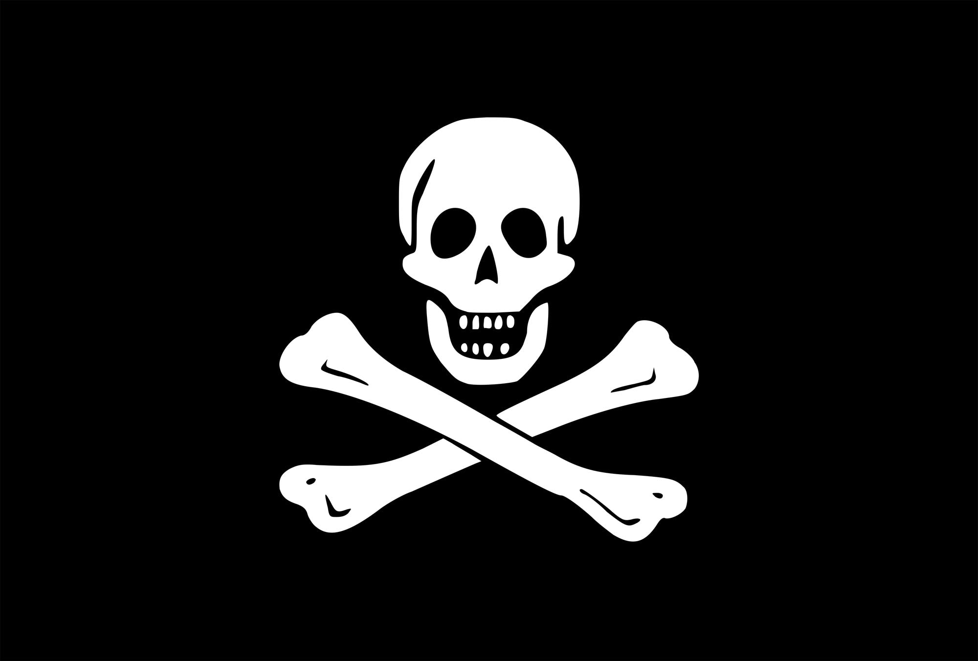 Jolly Roger Flag– Blue Flag Manufacturing