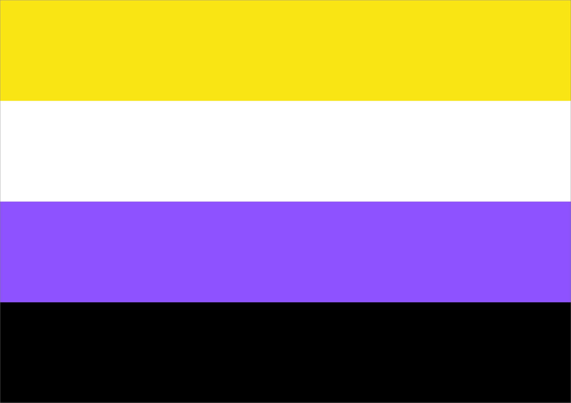 Non-binary Flag– Blue Flag Manufacturing