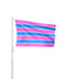 Trans Sexual Flag