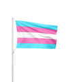 Trans Gender Flag